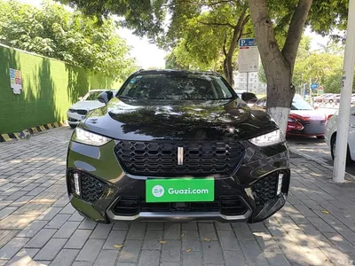 2017 WEY VV7 2.0T Super Luxury, фото 3, лот 10452318