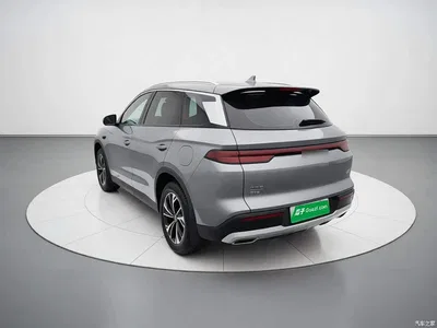 2025 BYD Song L DM-i Smart Drive Edition 75km Leading Type, фото 4, лот 10587475
