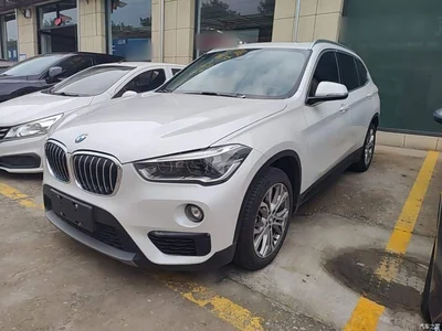 2019 BMW X1 sDrive20Li Leading Model, фото 1, лот 10467212