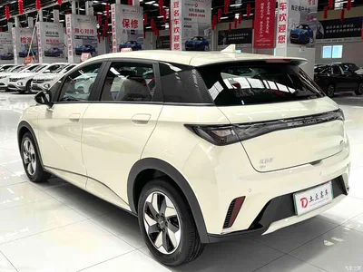 2025 BYD Dolphin 420km Freedom Edition, фото 4, лот 10249949