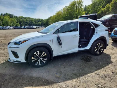 2021 LEXUS NX 300 F SPORT, фото 1, лот 10900781