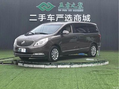 2014 Buick GL8 2.4L CT Luxury Business Comfort, фото 1, лот 10252662