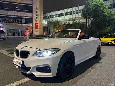 2019 BMW 2 Series (Import) 225i Convertible Coupe Exclusive M Sport Package, фото 2, лот 10402390