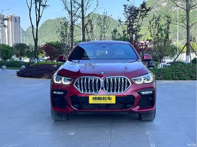 2021 BMW X6 xDrive40i Exclusive M Sport Package, фото 2, лот 10469004