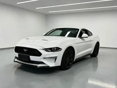 2019 Ford Mustang 2.3L EcoBoost, фото 1, лот 10296460