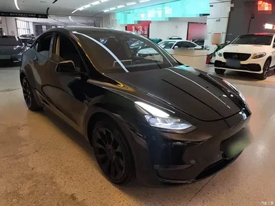 2024 Tesla Model Y Long Range AWD, фото 4, лот 11197400