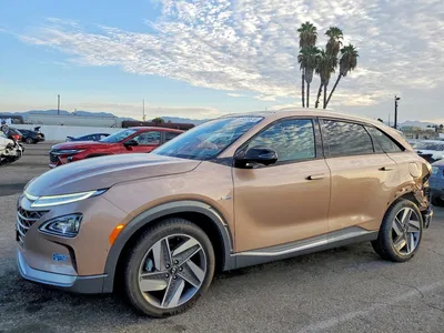 2021 HYUNDAI NEXO LIMITED, фото 1, лот 10764484