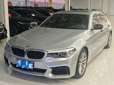 2020 BMW 5 Series 525Li M Sport Package, фото 1, лот 11136035