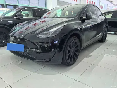 2022 Tesla Model Y Rear-Wheel Drive Version, фото 1, лот 11081780
