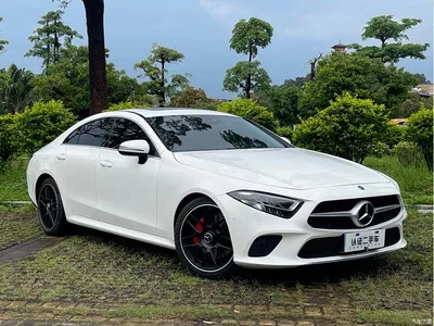2018 Mercedes-Benz CLS 300 Dynamic, фото 3, лот 10261291