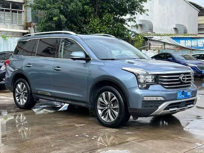 2019 GAC Trumpchi Trumpchi GS8 390T 2WD Luxury Smart Connect Edition (7-seater), фото 3, лот 10416069