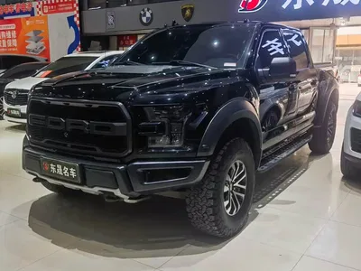 2019 Ford F-150 Raptor 3.5T Raptor Performance Enhanced Edition, фото 3, лот 10299089