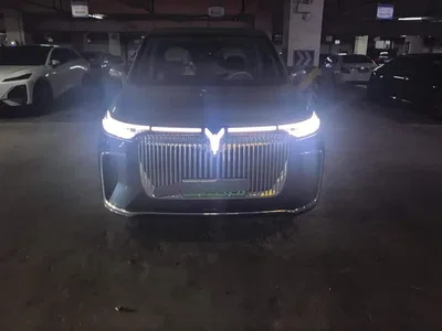 2025 Voyah Auto Voyah Dreamer PHEV AWD Flagship Kunpeng Edition, фото 2, лот 10358394