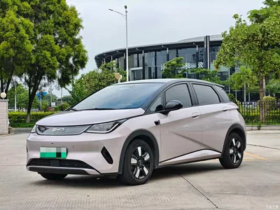 2025 BYD Dolphin Smart Drive Edition 410km Fashion Version, фото 1, лот 11502272