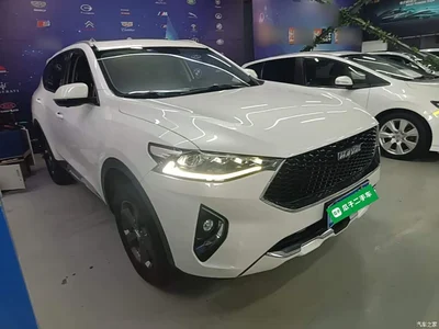 2019 Haval F7 1.5T 2WD i-Style China VI, фото 4, лот 11192720