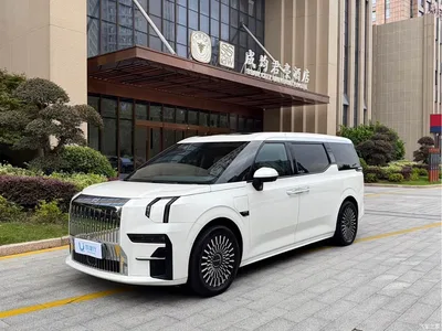 2022 ZEEKR 009 ME Edition, фото 1, лот 10838870