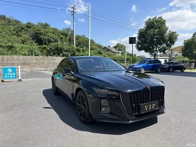 2025 Hongqi H5 1.5T DCT Mystic Shadow, фото 3, лот 10415719