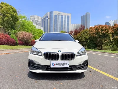 2018 BMW 2 Series Gran Tourer 220i Luxury Line, фото 2, лот 10475238