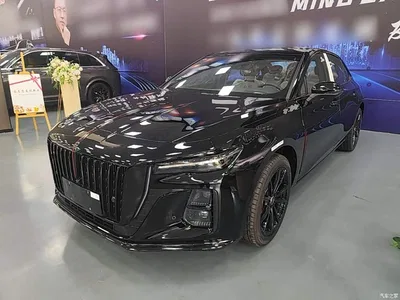 2025 Hongqi H5 2.0T Automatic Mystic Shadow 2 Million Edition, фото 2, лот 10606571