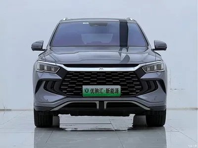 2023 BYD Song Pro New Energy Champion Edition DM-i 110KM Excellence, фото 3, лот 10273315
