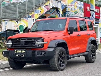2021 Tank 300 Off-road Version 2.0T Conqueror, фото 1, лот 10666704