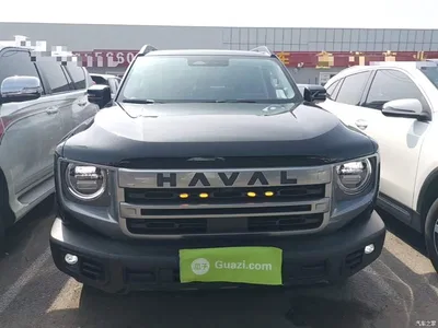 2024 Haval Big Dog 2.0T DCT Chinese Rural Dog Edition, фото 3, лот 10361247