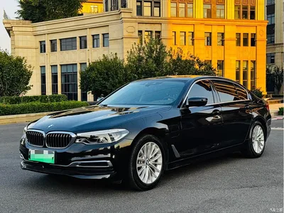 2020 BMW 5 Series New Energy 530Le Range Upgrade Pioneer Edition, фото 1, лот 10829158