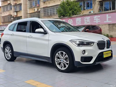 2018 BMW X1 sDrive20Li Leading Model, фото 3, лот 10464930