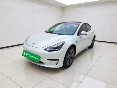 2019 Tesla Model 3 Standard Range Rear-Wheel Drive Upgrade, фото 1, лот 11214679