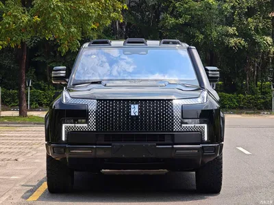2024 Yangwang U8 Off-Road Player Edition, фото 2, лот 11644561