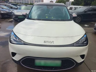 2023 smart Elf #1 Model Pro Edition, фото 3, лот 10343676