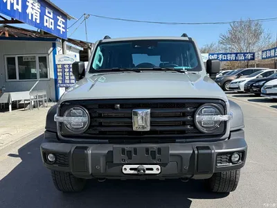 2021 Tank 300 Off-road Version 2.0T Conqueror, фото 2, лот 10345151