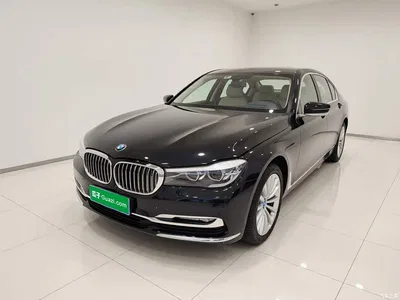 2018 BMW 7 Series 730Li Leading Type Excellence Package, фото 1, лот 10388151