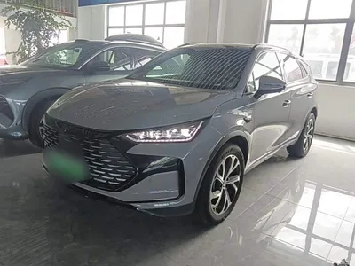 2025 BYD Tang New Energy Smart Driving Edition DM-i 115KM Flagship, фото 2, лот 10272625