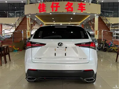 2017 Lexus NX 300 AWD Sharp Style Edition, фото 4, лот 10314744