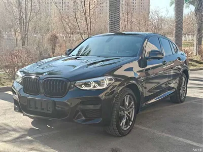 2020 BMW X4 xDrive25i M Sport Package, фото 1, лот 10430372