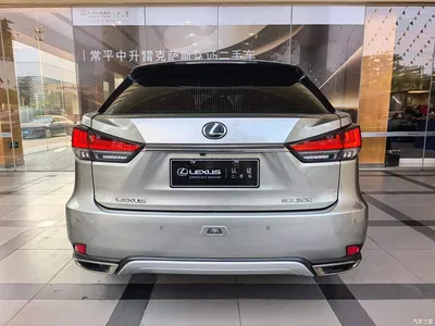 2020 Lexus RX Facelift 300 2WD Elite Edition, фото 3, лот 11249973