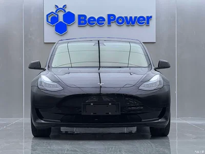 2022 Tesla Model 3 Model Rear-Wheel Drive Version, фото 2, лот 10900474