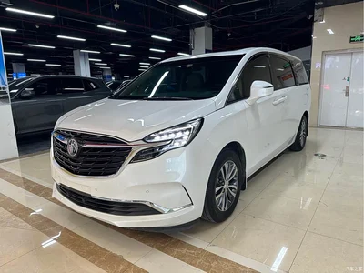 2021 Buick GL8 ES Landlord 653T Premium, фото 1, лот 10242459
