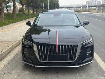 2023 Hongqi H5 1.5T DCT Smart Connect Joy Edition, фото 2, лот 10288482
