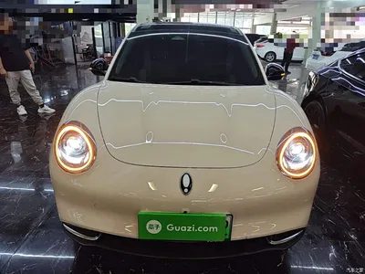 2023 Ora Good Cat 501km Long Range Luxury LFP, фото 3, лот 10447791