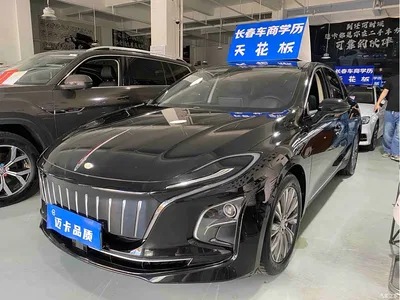 2022 Hongqi E-QM5 431km Charging Enjoyment Edition, фото 1, лот 10304113