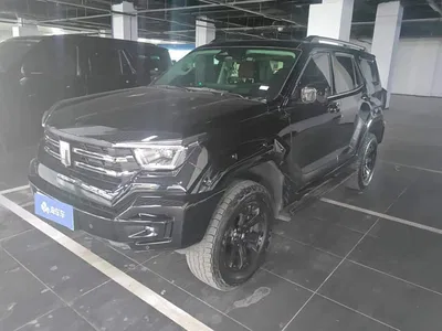 2024 Tank 400 New Energy Hi4-T Off-Road Edition, фото 1, лот 10303067