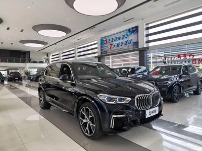 2022 BMW X5 Facelift xDrive 40Li M Sport Package, фото 2, лот 10462649
