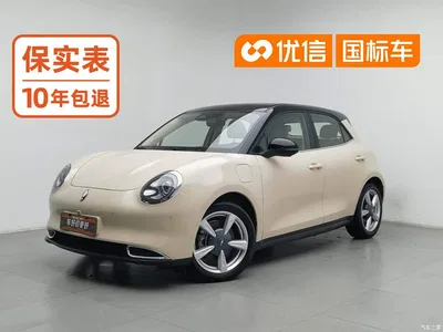2021 Ora Good Cat 400km Standard Range Athena Edition (NCM), фото 1, лот 11006907