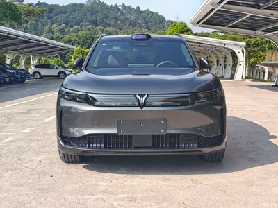 2025 Voyah Auto VOYAH FREE FREE+ 4WD Qiankun Edition, фото 2, лот 10838797