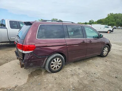 2009 HONDA ODYSSEY EXL, фото 3, лот 10723515