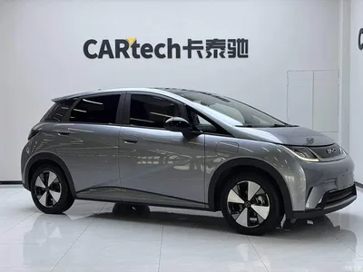 2023 BYD Dolphin 420km Fashion Edition, фото 3, лот 10253962