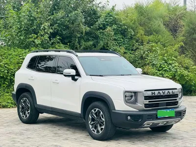 2024 Haval Big Dog 2.0T DCT Chinese Rural Dog Edition, фото 3, лот 11181057
