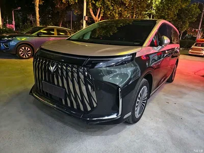 2026 ARCFOX WenDao V9 Model Base, фото 1, лот 11548590